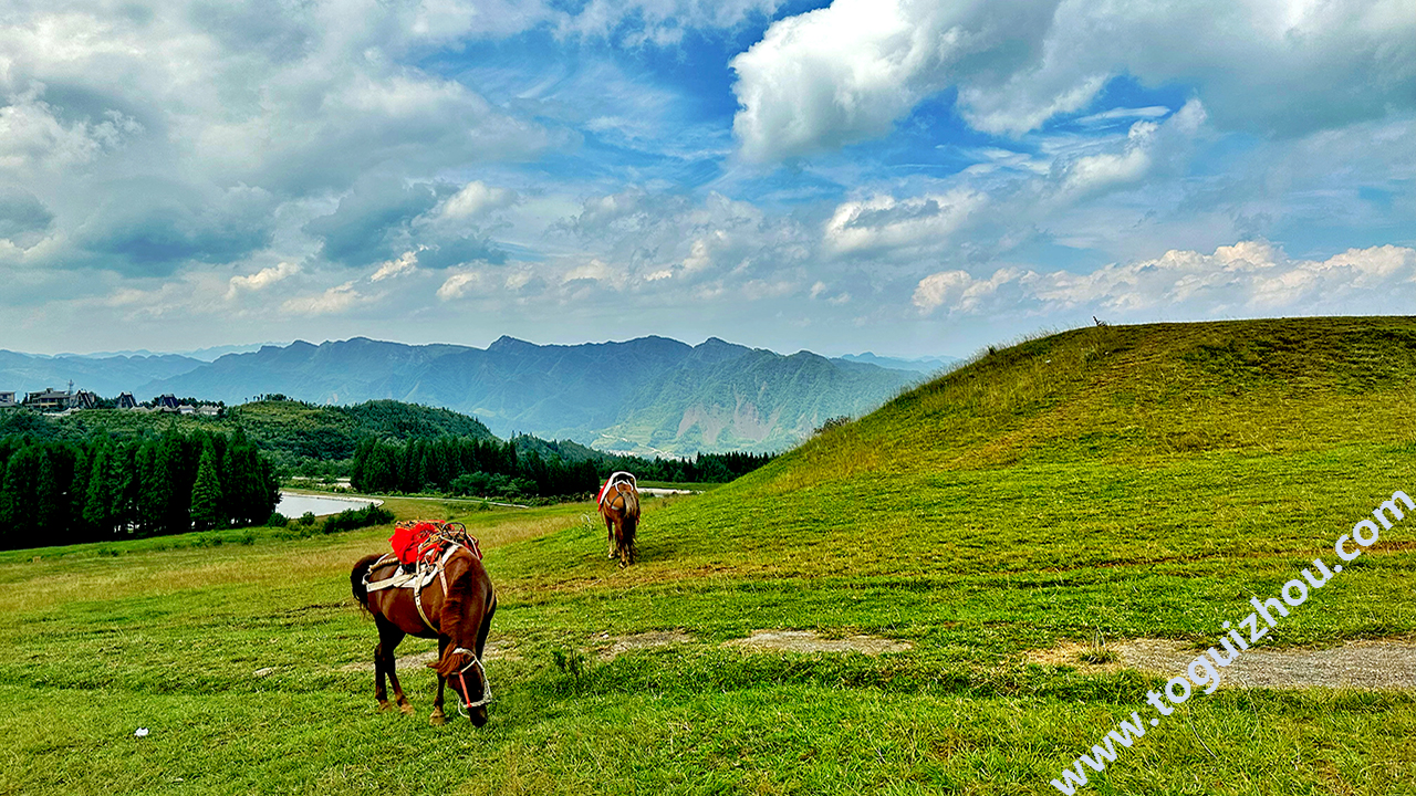Wumeng Grassland