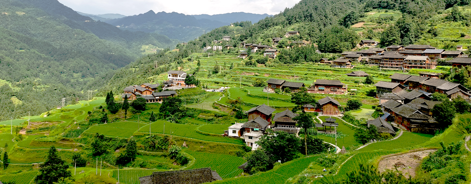 Small Group Tours