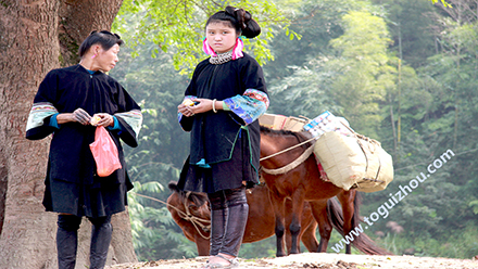 congjiang-kongming-miao-3.jpg congjiang-kongming-miao-3.jpg